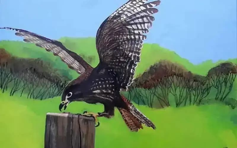 Kahu