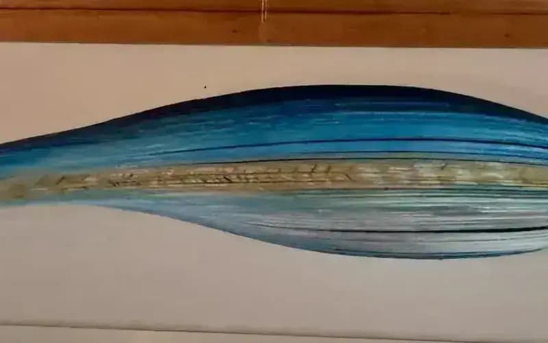 Ta Hei: an organic sculptural painted seed pod.