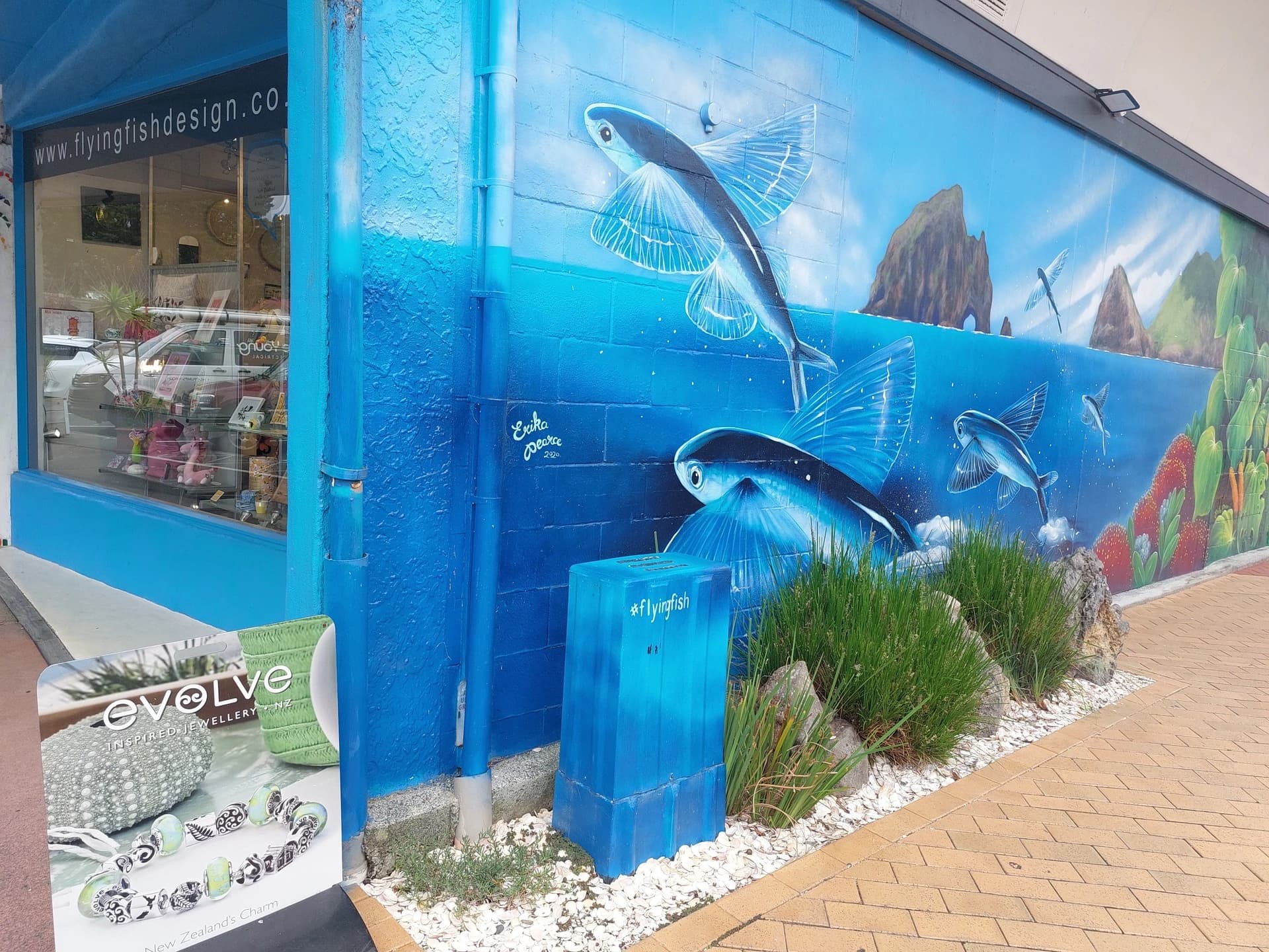 Flying Fish Design Store